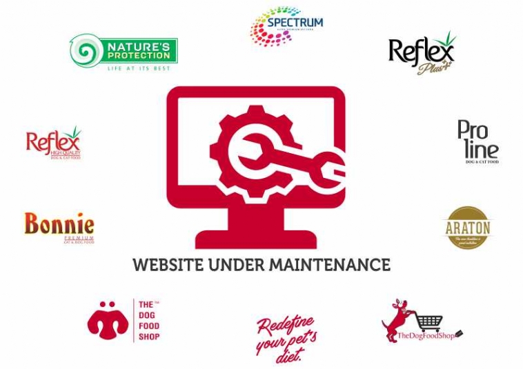 Website Under Maintenance